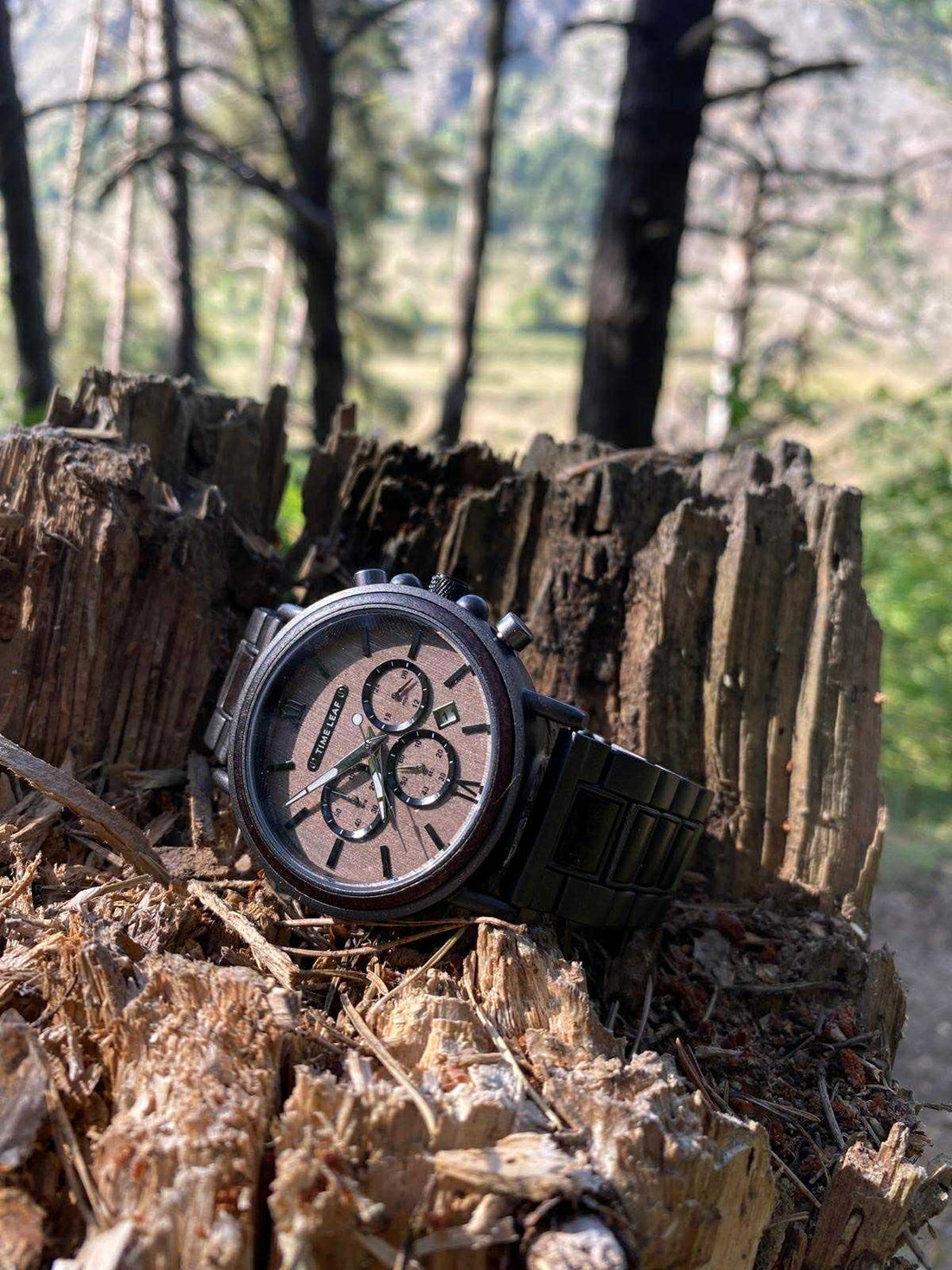Exploring the Connection Between Nature and Time Leaf Watches