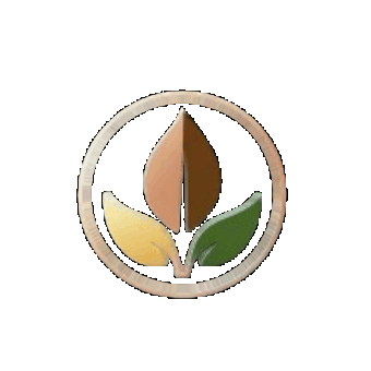 Time Leaf Watches